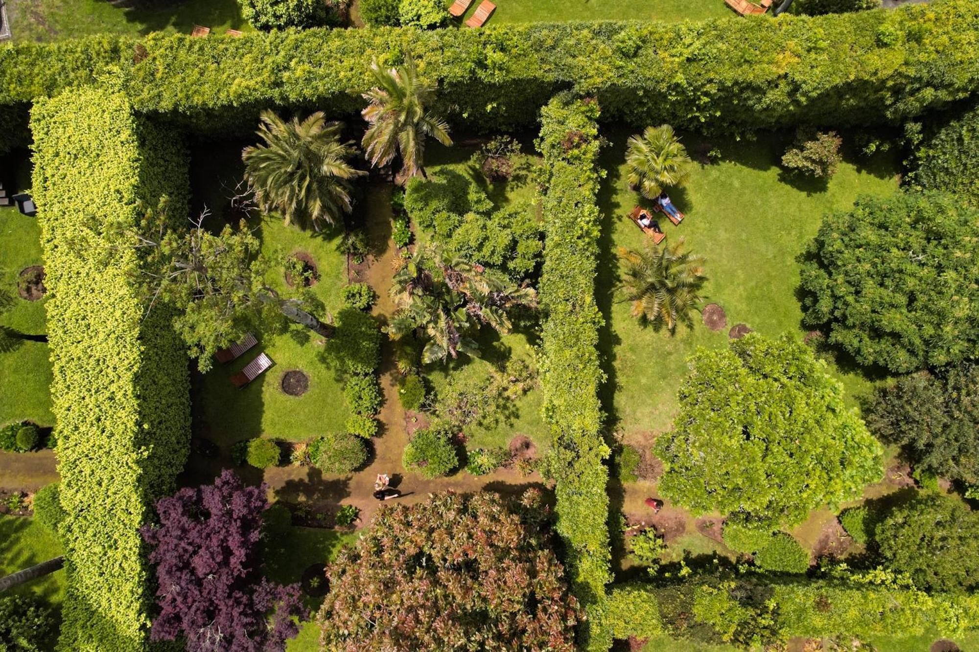 Azores Green Villas Ponta Delgada Eksteriør billede