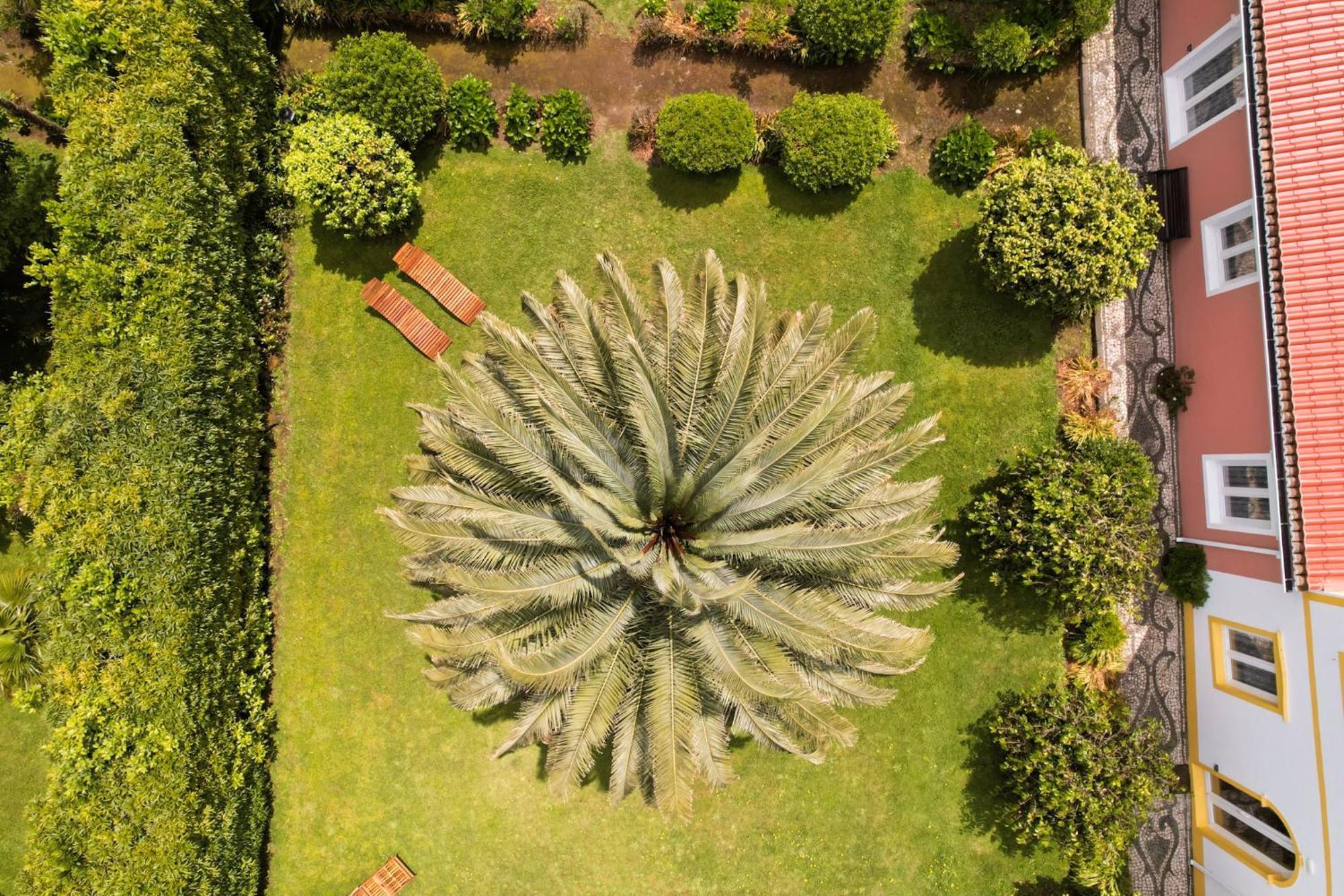 Azores Green Villas Ponta Delgada Eksteriør billede